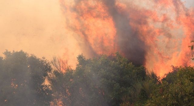 Muğla ve İzmir&#039;de orman yangınları sürüyor! Bakan Pakdemirli&#039;den açıklamalar