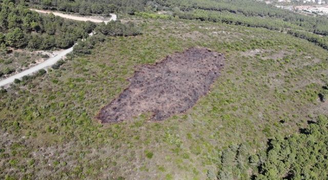 Aydos Ormanı&#039;nda kundaklama sonucunda yanan ormanlık alandaki tahribat havadan görüntülendi
