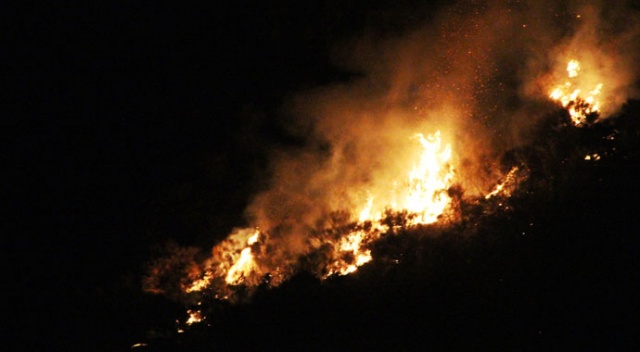 Bodrum&#039;da makilik alanda korkutan yangın