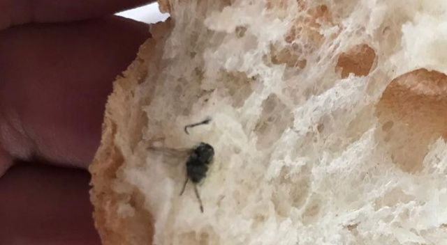 Marketten aldığı ekmeğin içinden sinek çıktı