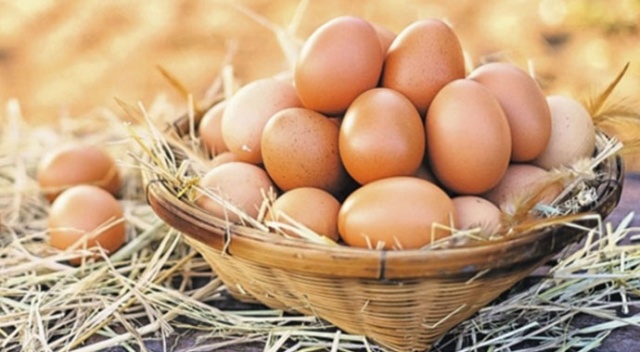 ABD’ye yumurta ihracatı başlıyor