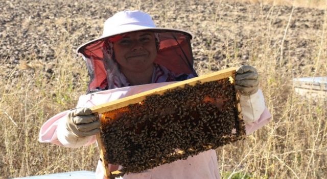Arı fobisi işe dönüştü yılda 750 kilo bal üretiyor