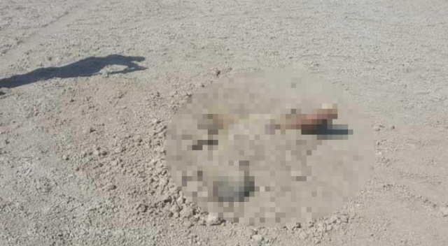 Toprağa gömülü erkek cesedi bulundu