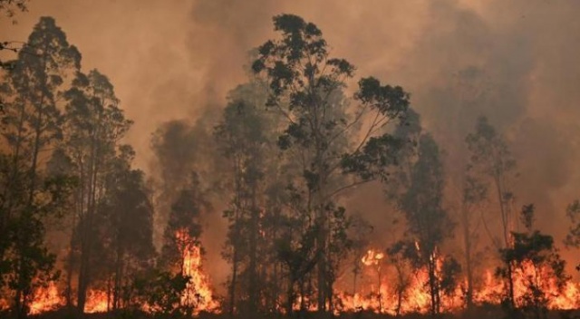 Avustralya&#039;da orman yangınları sürüyor