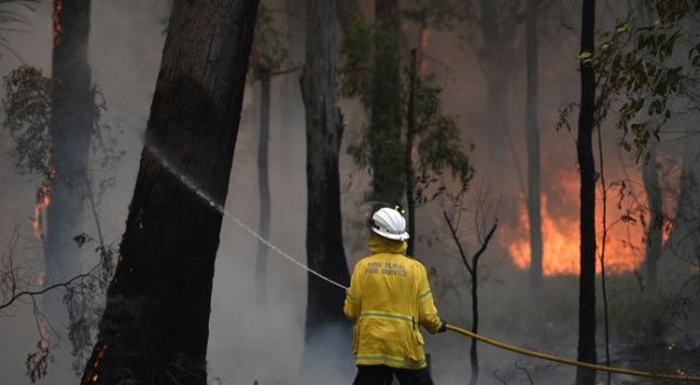 Avustralya’da orman yangınlarıyla mücadele sürüyor