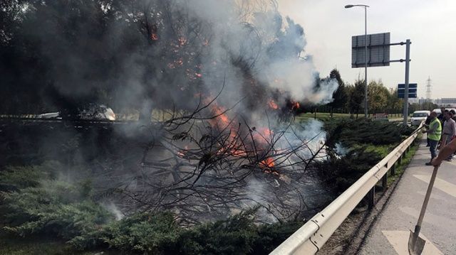 Otoyol kenarında bulunan çam ağaçları alev alev yandı