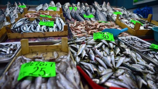 Balıkta uygun fiyat, yüksek arz için &#039;yasaklara riayet&#039; uyarısı