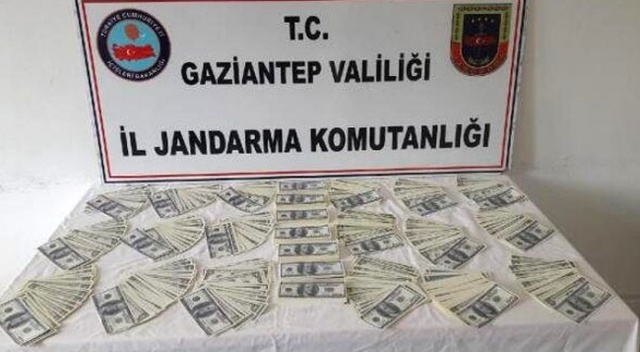 Gaziantep&#039;te 350 bin dolar çaldığı ileri sürülen kadın ve torunu yakalandı