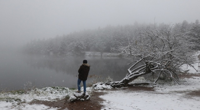 Gölcük Tabiat Parkı kar yağışıyla beyazlara büründü