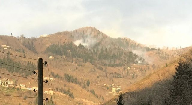 Trabzon&#039;da 37 ayrı noktada korkutan örtü yangınları!