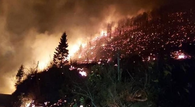 Trabzon ve Giresun’da orman yangınları