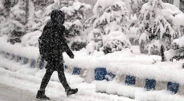 Doğu Karadeniz&#039;de kar esareti! 169 köy ve mahalle yolu ulaşıma kapandı