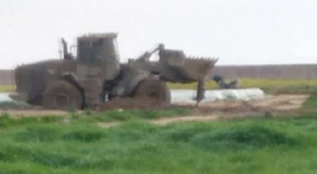 Filistinli şehidin naaşını buldozerle parçaladılar