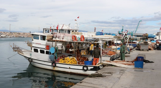 İzmirli balıkçılar: Mültecileri adalara seve seve taşırız