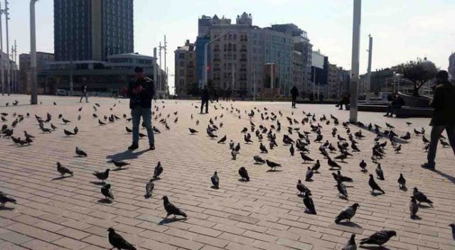 Taksim Meydanı güvercinlere kaldı