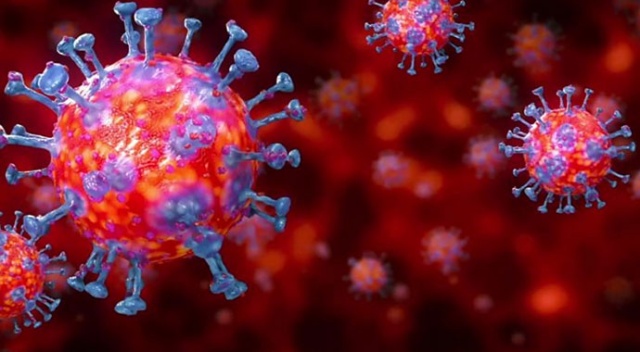 Avustralya&#039;da koronavirüs nedeniyle ölenlerin sayısı artıyor