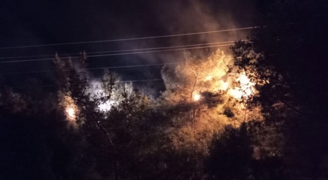 İzmir&#039;de ormanlık alanda çıkan yangın söndürüldü