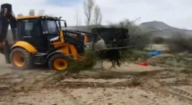 Kayserili çiftçi 200 kayısı ağacını don vurunca söktürdü