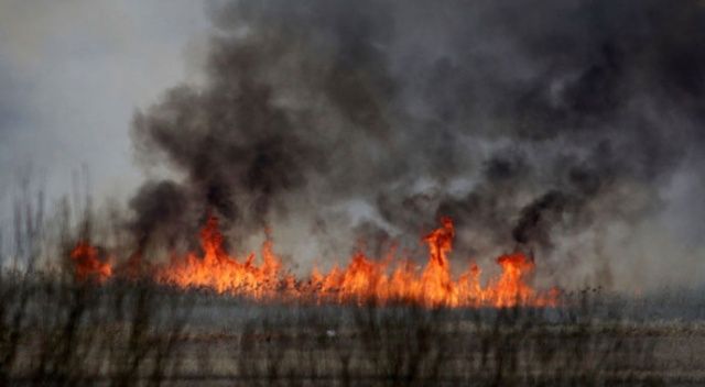 Polonya&#039;nın en büyük milli parkı yanıyor
