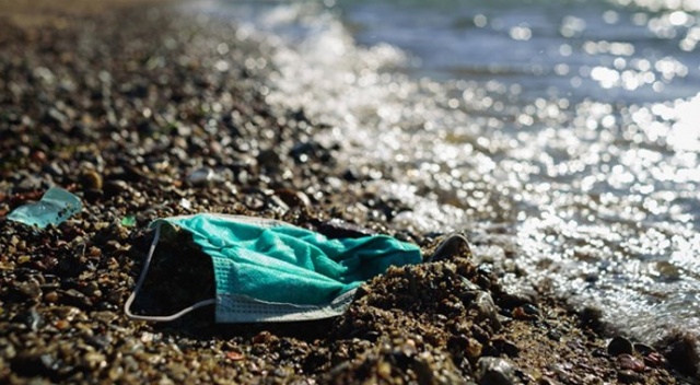 Maske uyarısı: Akdeniz&#039;deki denizanası sayısını geçebilir