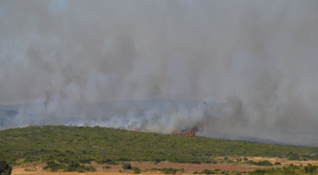 Söndürme çalışmalarının devam ettiği yangında 100 hektarlık makilik alan zarar gördü