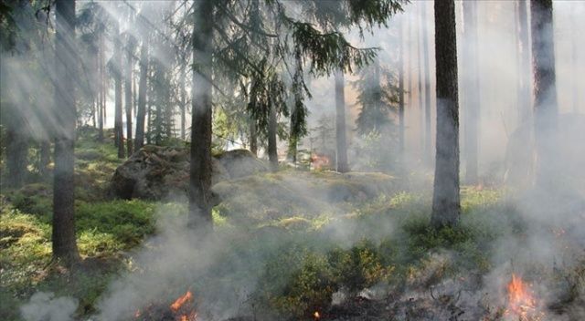 TikTok için gösteri yaparken orman yangını çıkardı