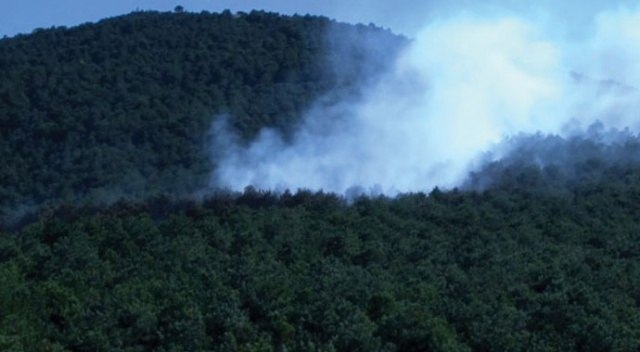 Kayışdağı ormanında çıkan yangın havadan görüntülendi