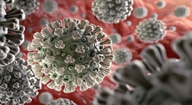 Yeni Zelanda’da 16 gündür yeni koronavirüs vakası görülmüyor