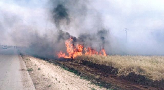 YPG, tarlaları yakıp  köylüleri öldürüyor