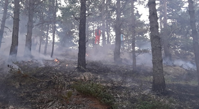 Amasya&#039;da korkutan orman yangını