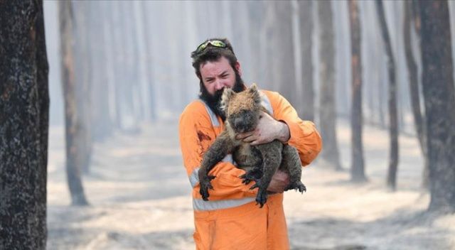 Avustralya&#039;daki yangınlardan yaklaşık 3 milyar hayvan etkilendi