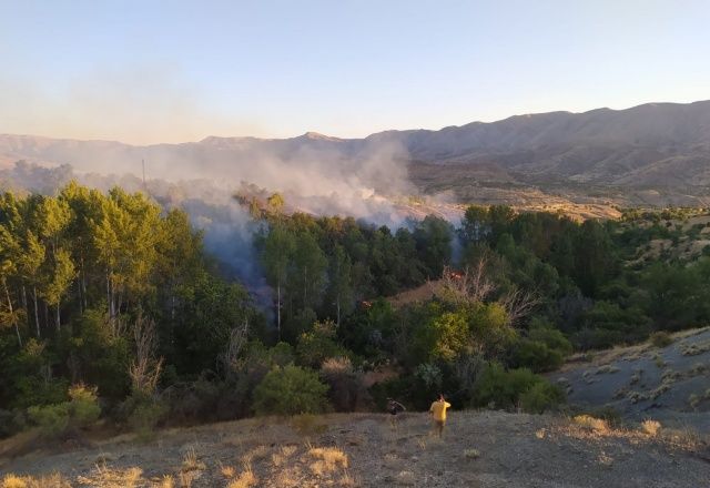 Elazığ’da orman yangını, 30 dönüm zarar gördü