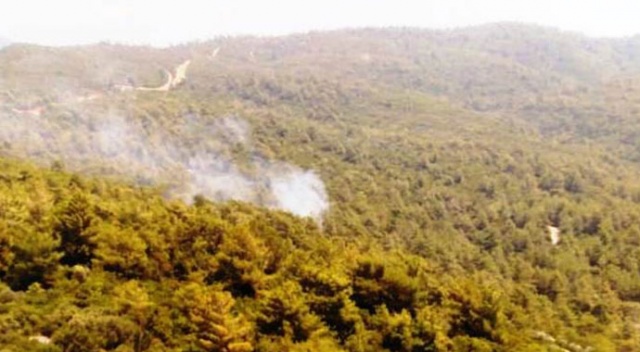 Marmaris&#039;teki orman yangını büyümeden söndürüldü