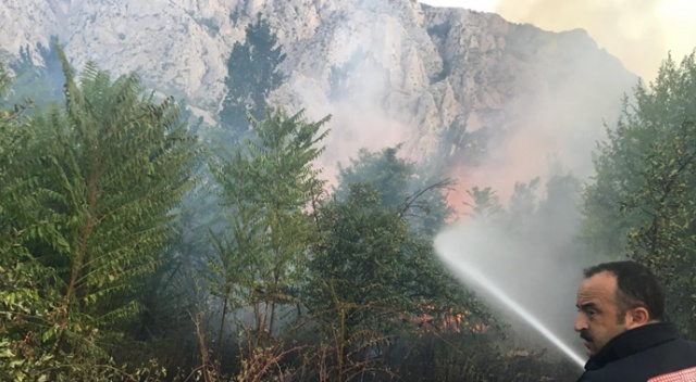 Amasya’da yangın: 5 dönüm alan zarar gördü