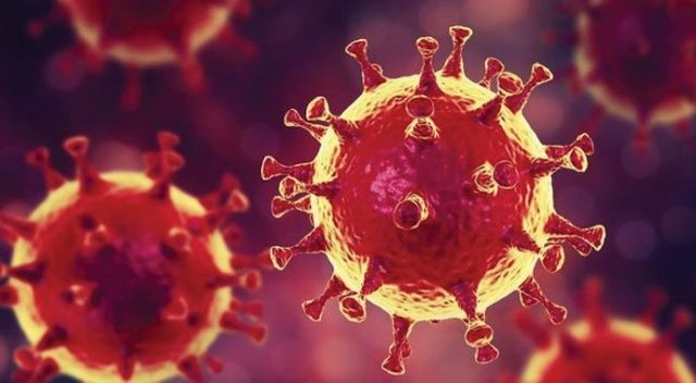 Azerbaycan&#039;da son 24 saatte 241 koronavirüs vakası tespit edildi
