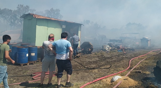 Bursa’da çiftlikte çıkan yangın ormana sıçradı: 20 küçükbaş telef oldu