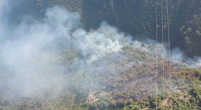 Hatay’daki orman yangınında 2 hektarlık alan zarar gördü