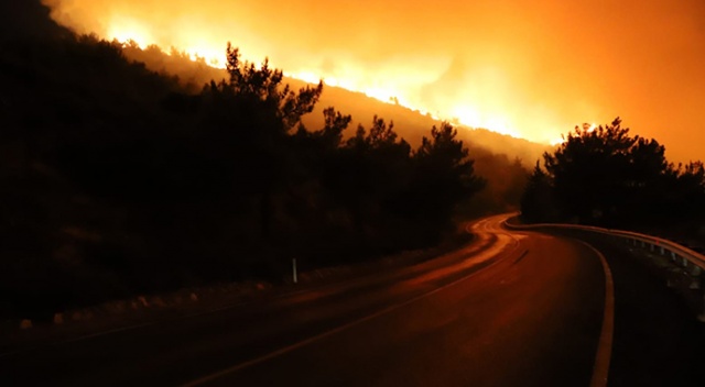 İzmir&#039;in Menderes ilçesinde orman yangını