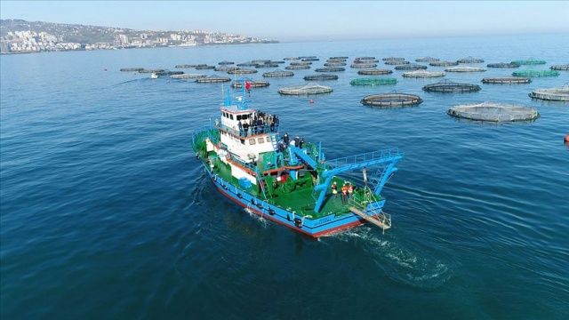 Karadeniz&#039;in en çok ihracat gerçekleştiren ili Trabzon