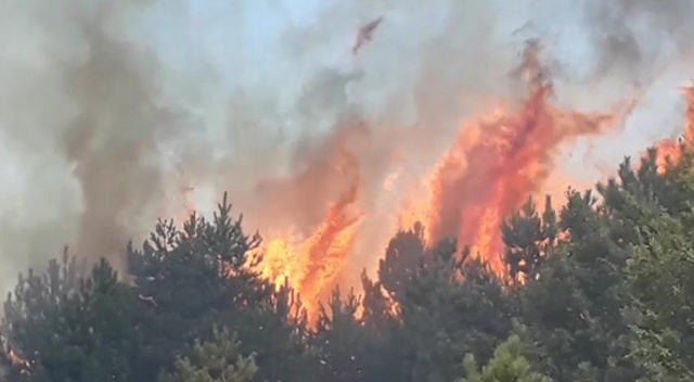 Kastamonu’da 200 hektarlık ormanlık alanda yangın çıktı