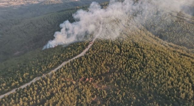 Lapseki&#039;de orman yangını