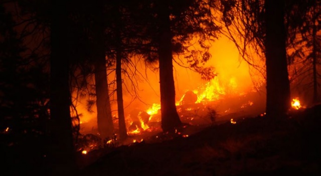 ABD&#039;nin batı yakasındaki orman yangınlarında 34 kişi hayatını kaybetti