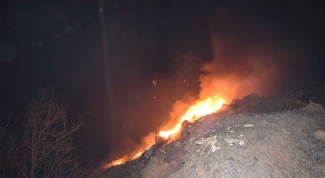 Antalya&#039;daki orman yangını kontrol altına alındı