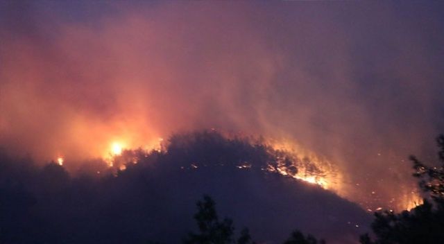 Aydın&#039;daki orman yangını, kontrol altına alındı