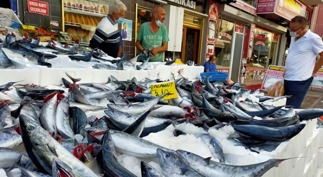 Balık pazarında palamut bolluğu: Tanesi 10 liraya düştü