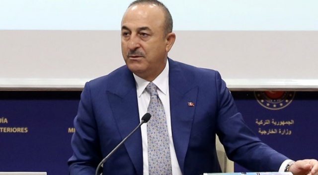 Çavuşoğlu: Türk milletine saygı duymayı öğreneceksin!