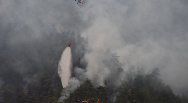 Eskişehir&#039;de korkutan orman yangını