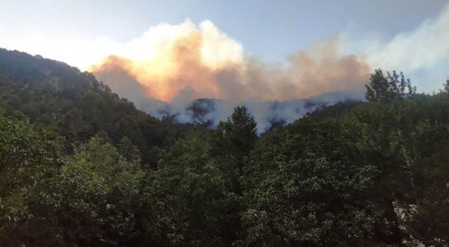Hatay, Adana ve Osmaniye&#039;deki orman yangınlarına havadan müdahale