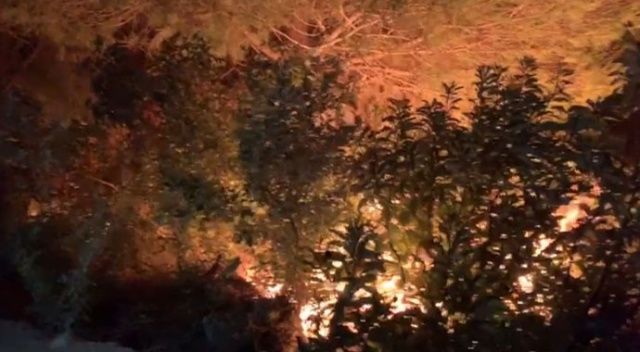 Hatay&#039;daki orman yangınına havadan müdahaleye yeniden başlandı