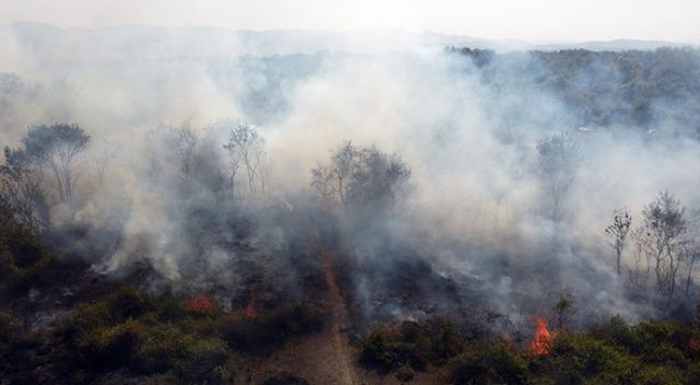 Kızılırmak Deltası Kuş Cenneti&#039;nde yangın